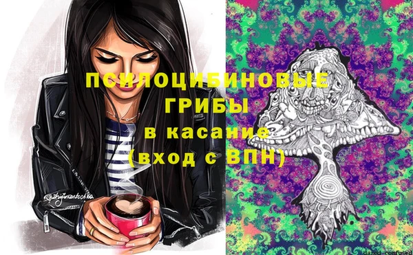 не бодяженный Надым