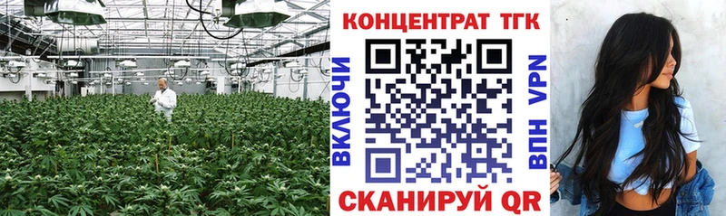 ТГК гашишное масло  OMG ССЫЛКА  Черноголовка 