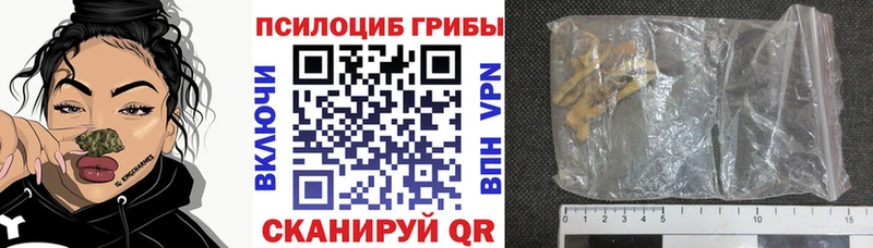 blacksprut онион как найти наркотики Черноголовка Псилоцибиновые грибы Psilocybine cubensis